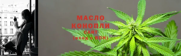 таблы Бородино